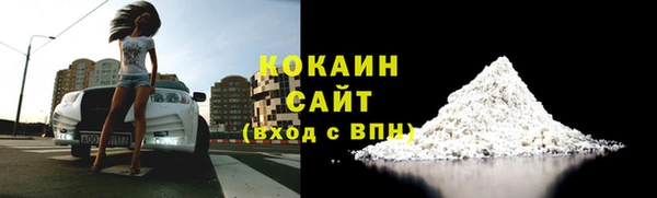 дмт Абаза
