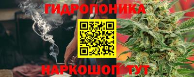 Альфа ПВП Гусев